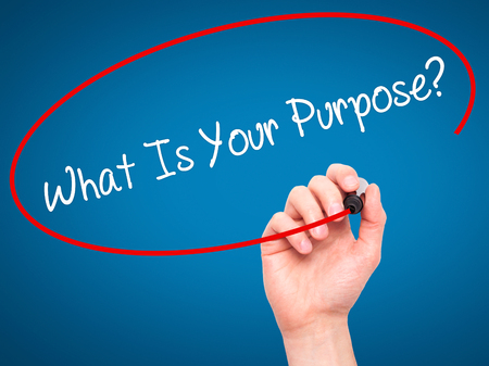 What's Your Purpose